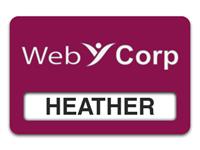 Reusable Smooth Plastic Windowed Name Tag: Claret with White - LM922-612