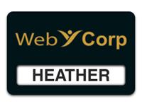 Reusable Smooth Plastic Windowed Name Tag: Black with Gold - LM922-417