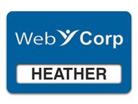 Reusable Smooth Plastic Windowed Name Tag: Sky Blue with White - LM922-512