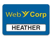 Reusable Smooth Plastic Windowed Name Tag: Sky Blue with Yellow - LM922-517