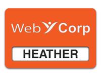 Reusable Smooth Plastic Windowed Name Tag: Tangerine with White - LM922-612