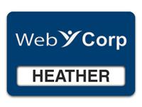 Reusable Smooth Plastic Windowed Name Tag: Patriot Blue with White - LM922-552