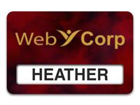 Reusable Smooth Plastic Windowed Name Tag: Port Wine with Gold - LM922-677