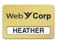 Reusable Smooth Plastic Windowed Name Tag: Shiny Gold with Black - LM922-734