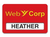 Reusable Smooth Plastic Windowed Name Tag: Crimson with Yellow - LM922-607