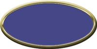 Blank Oval Plastic Black Nametag with Purple